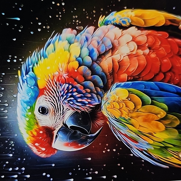 4x4 Parrot Watercolor‎ Bird Oil Painting Art Fantasy Print - Picture 4 of 4